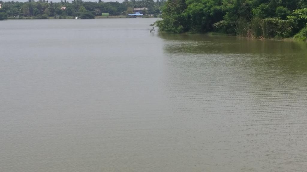 Sunhill Lake Tourist Rest Hotel Anuradhapura Bagian luar foto