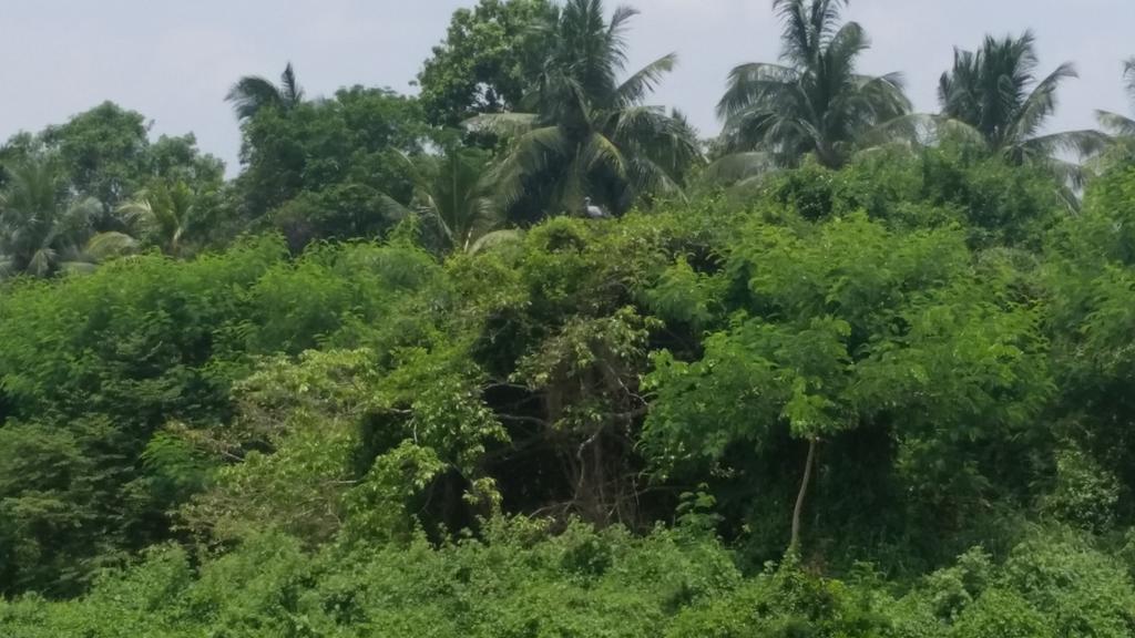 Sunhill Lake Tourist Rest Hotel Anuradhapura Bagian luar foto